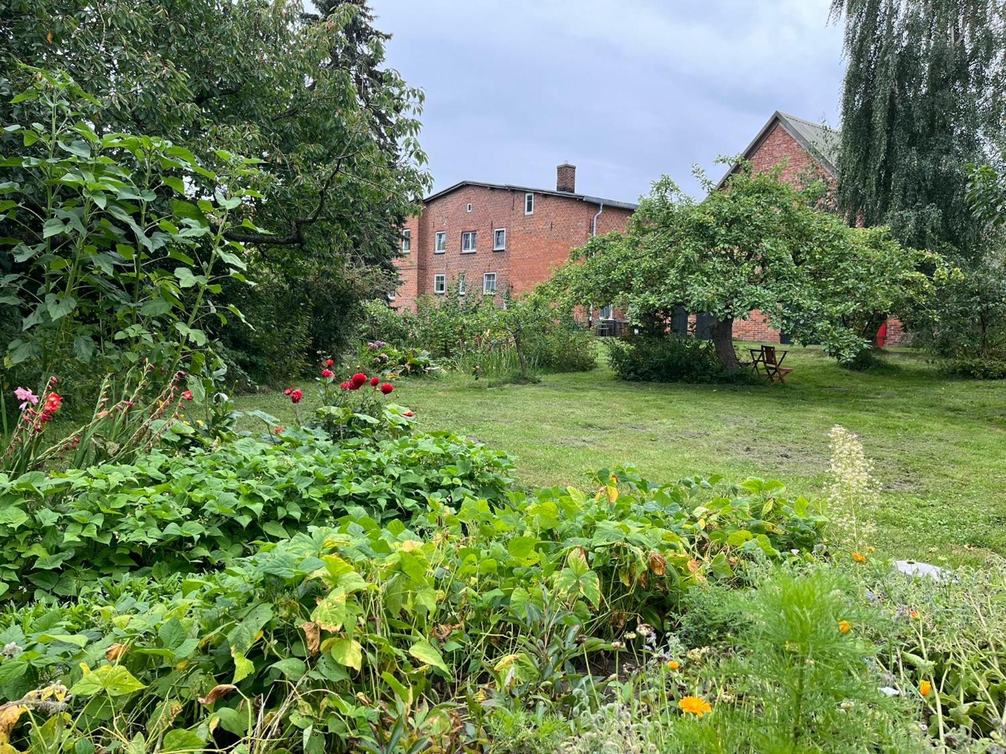 Apartamento Alte Baeckerei Gnade Auf Ruegen Sehlen Exterior foto